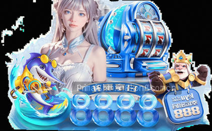 专享服务热线